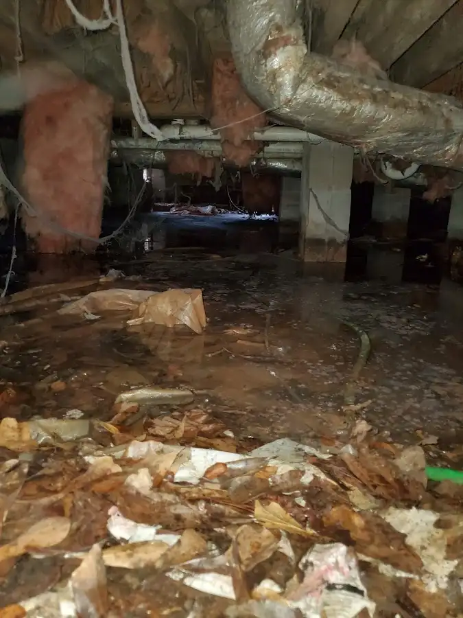 Crawl space flood assessment for Commercial Water Damage Restoration in Red Hill