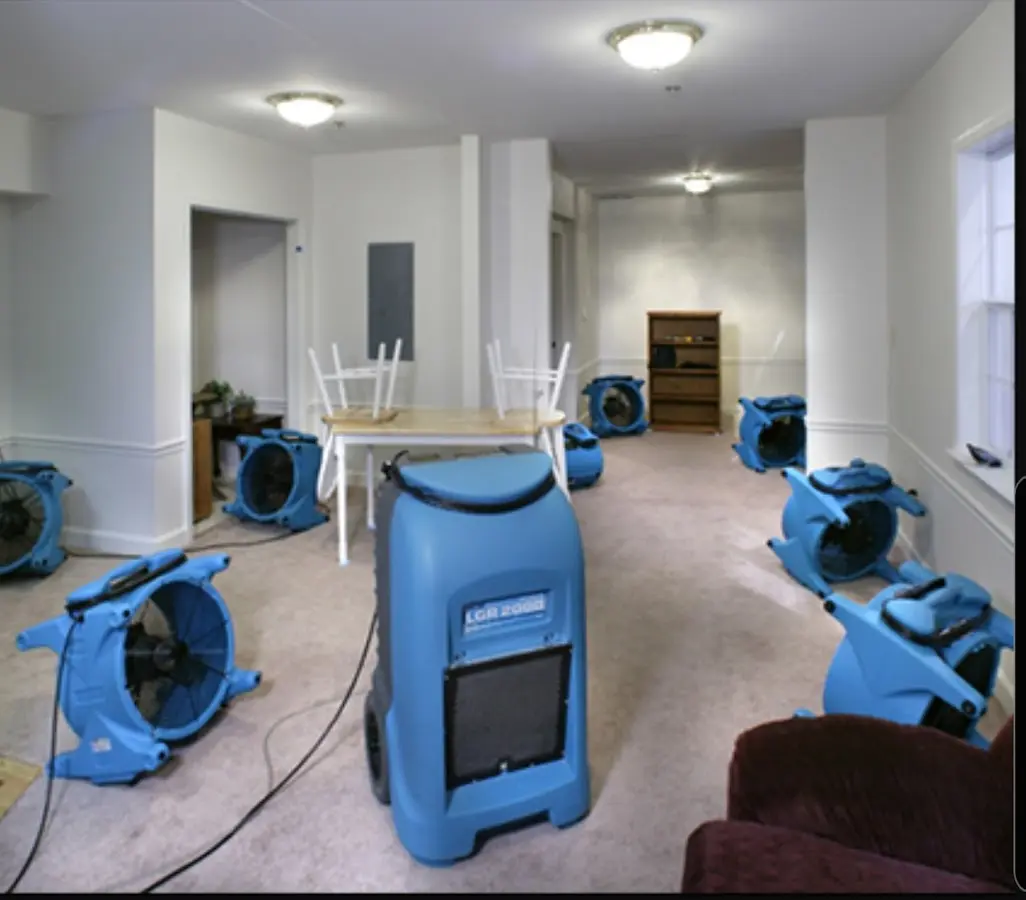 Air movers and dehumidifier setup for Water Extraction & Removal in Red Hill